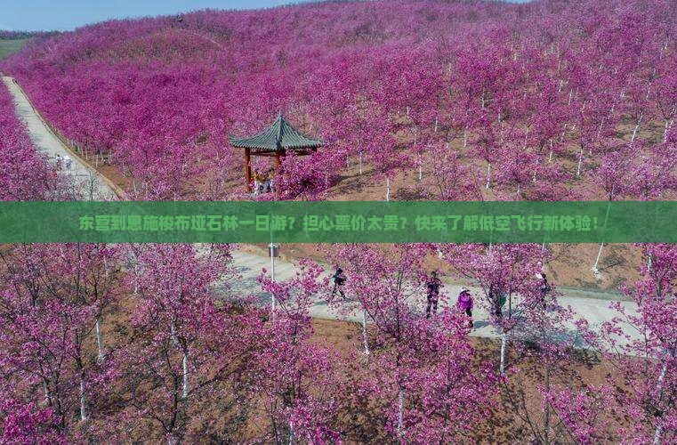 东营到恩施梭布垭石林一日