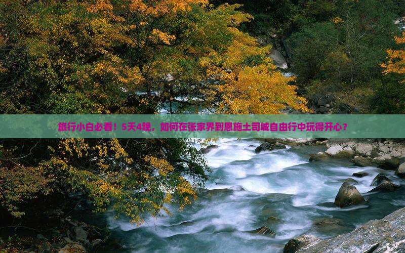 张家界到恩施土司城自由团