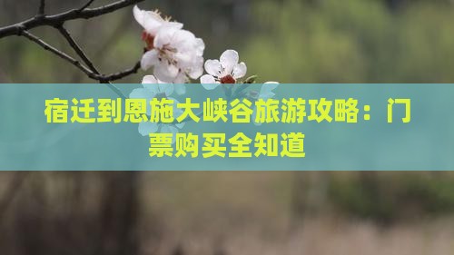 宿迁去恩施大峡谷门票