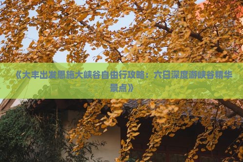 大丰到恩施大峡谷六日游