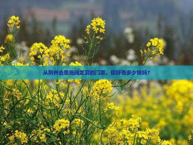 荆州到恩施腾龙洞门票