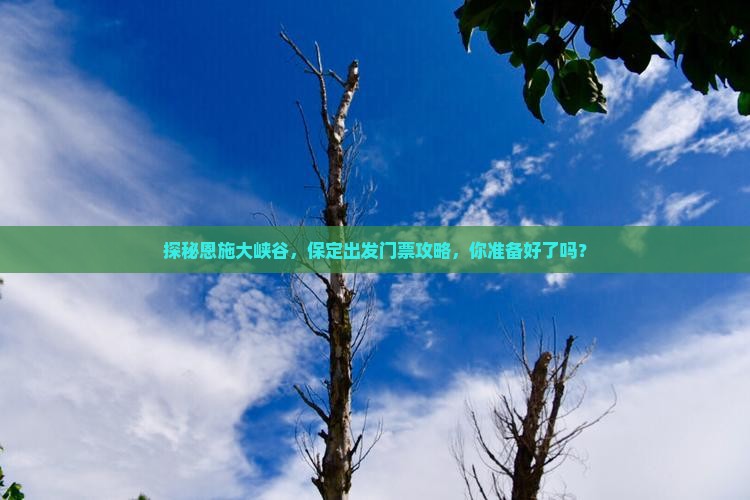 保定去恩施大峡谷门票
