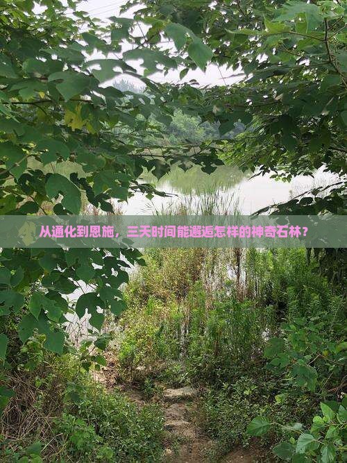 通化去恩施梭布垭石林三日游