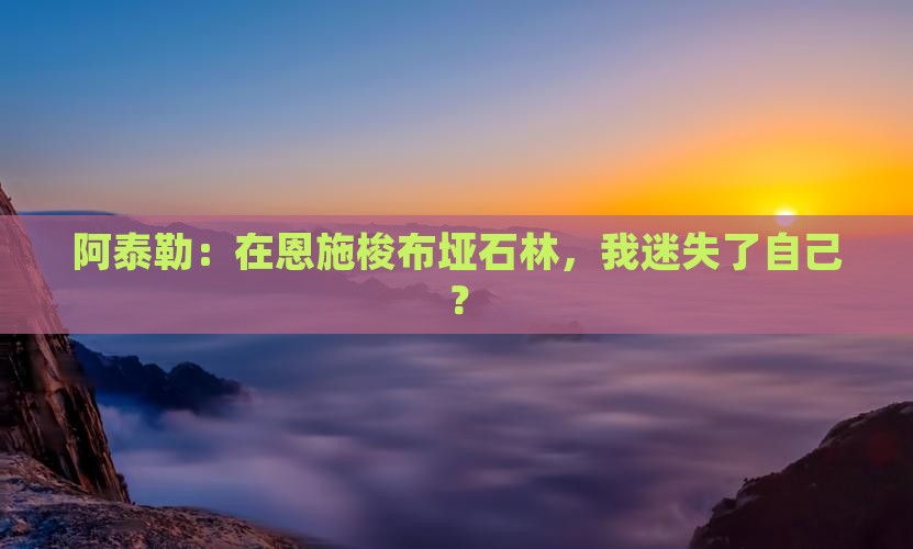 阿泰勒到恩施梭布垭石林自由行