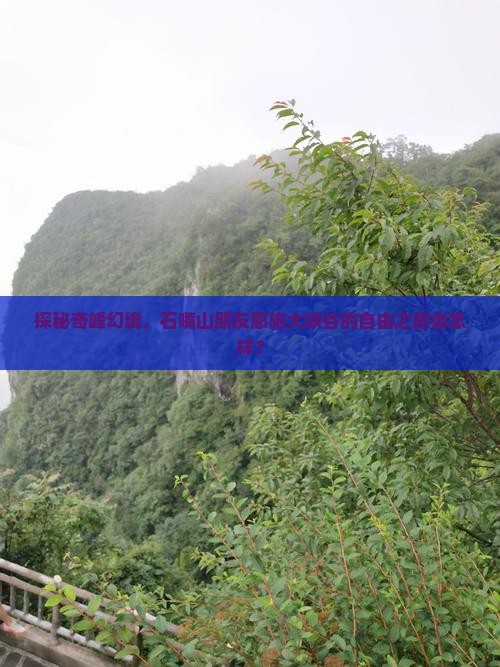 石嘴山到恩施大峡谷自由团