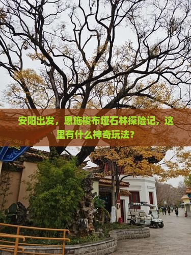 安阳到恩施梭布垭石林哪里玩