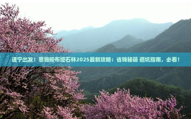 遂宁去恩施梭布垭石林攻略