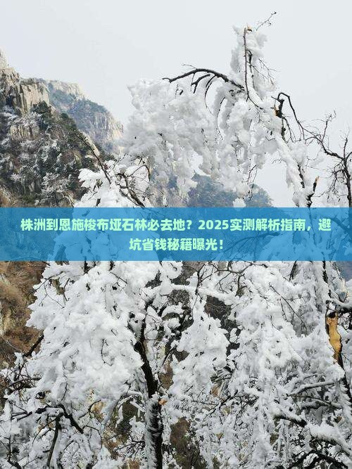 株洲到恩施梭布垭石林必去地