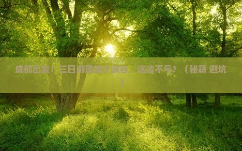 成都去恩施大峡谷三日游
