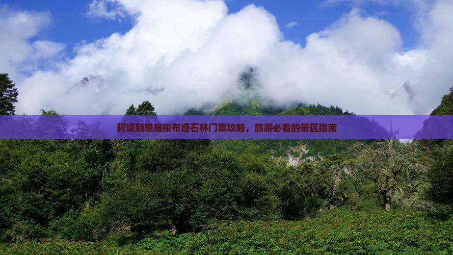 阿坝到恩施梭布垭石林门票