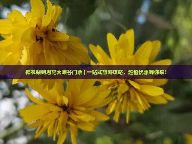神农架到恩施大峡谷门票