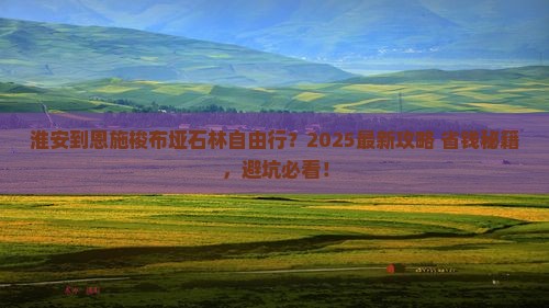 淮安到恩施梭布垭石林自由行