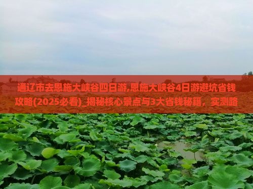 通辽市去恩施大峡谷四日游