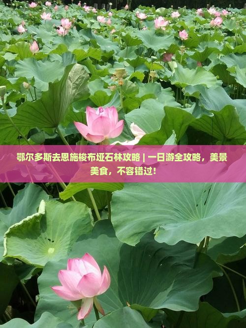 鄂尔多斯去恩施梭布垭石林攻略