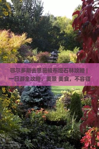 鄂尔多斯去恩施梭布垭石林攻略