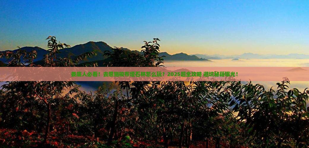 娄底去恩施梭布垭石林景点