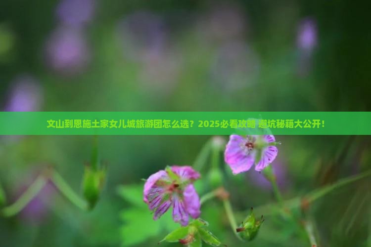 文山到恩施土家女儿城大型旅游团
