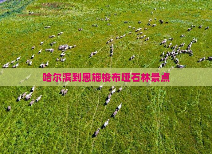 哈尔滨到恩施梭布垭石林景点