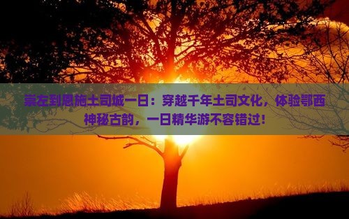 崇左到恩施土司城一日