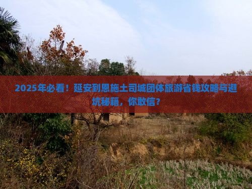 延安到恩施土司城团体旅游