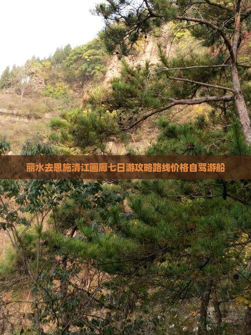 丽水去恩施清江画廊七日游 丽水去恩施清江画廊七日游