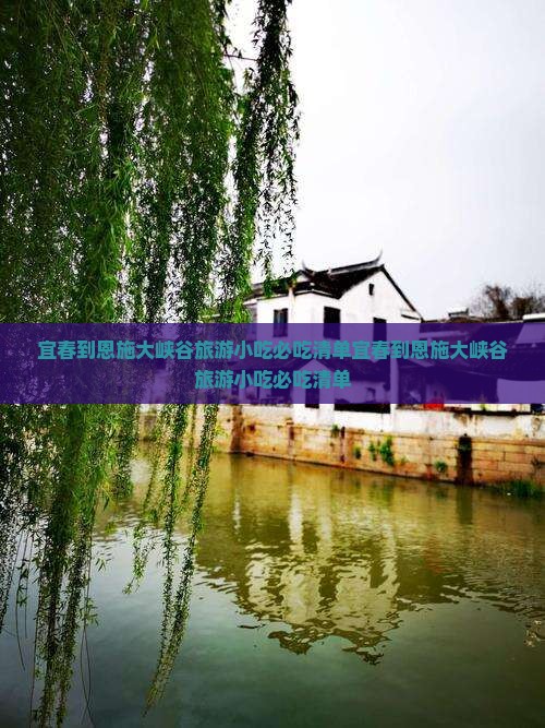 宜春到恩施大峡谷旅游小吃