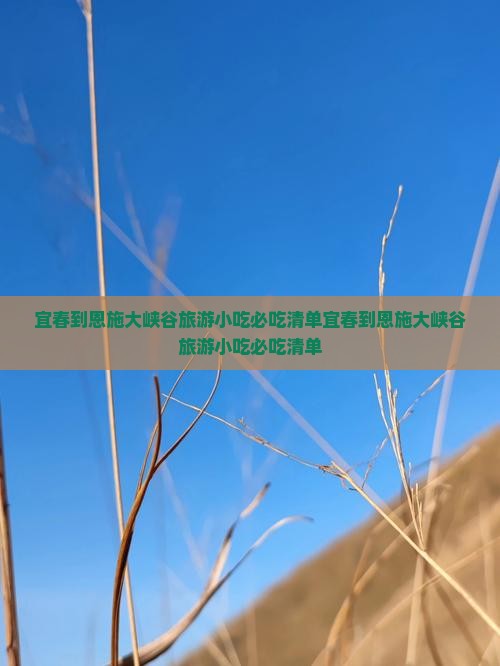 宜春到恩施大峡谷旅游小吃