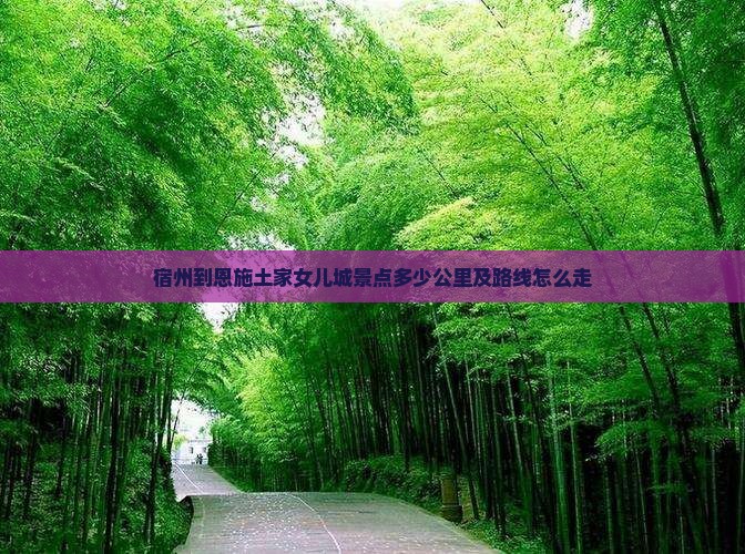 宿州到恩施土家女儿城景点