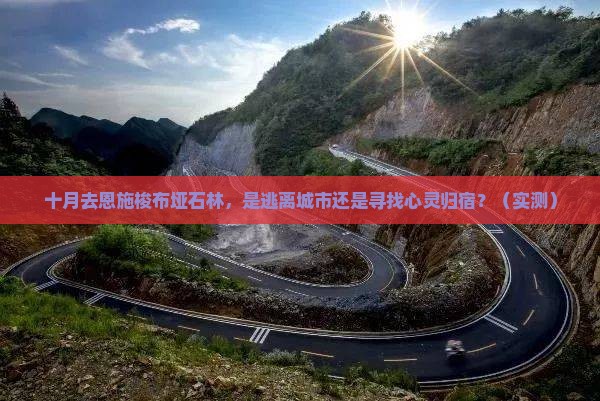 十月到恩施梭布垭石林旅游
