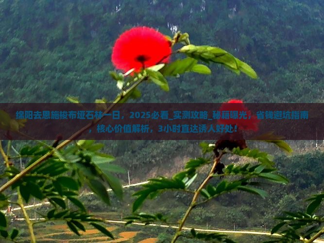 绵阳去恩施梭布垭石林一日