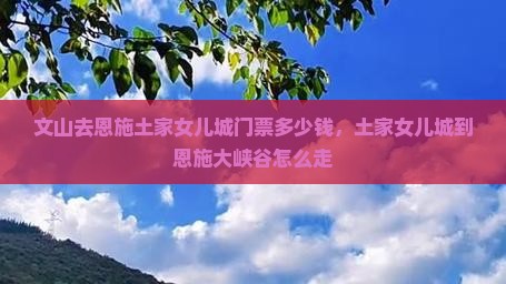 文山去恩施土家女儿城门票