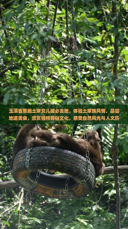 玉溪去恩施土家女儿城必去地