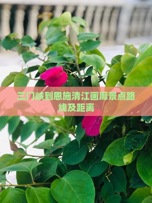 三门峡到恩施清江画廊景点