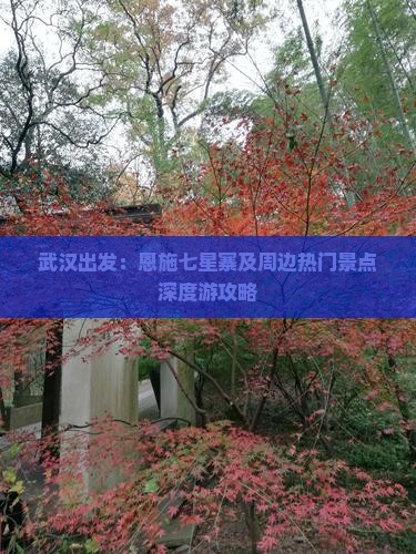 武汉出发：恩施七星寨及周边热门景点深度游攻略
