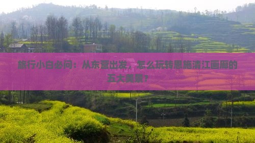 东营去恩施清江画廊哪里玩 东营去恩施清江画廊哪里玩