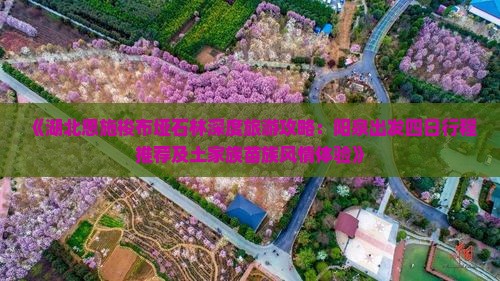 阳泉到恩施梭布垭石林四日游