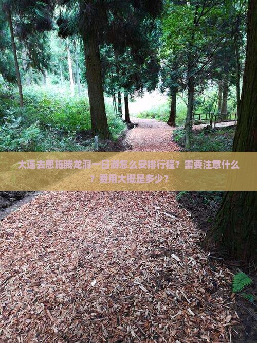 大连去恩施腾龙洞一日