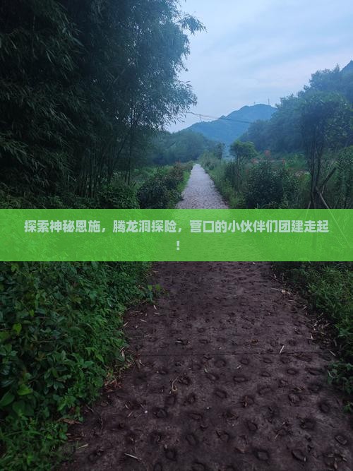 营口去恩施腾龙洞团体旅游