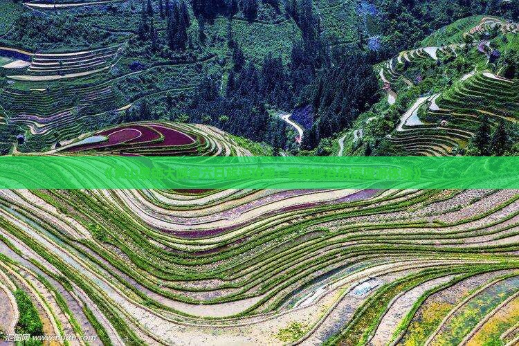 黄山到恩施大峡谷六日游