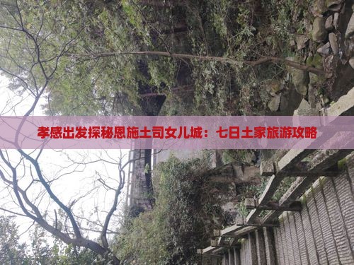 孝感去恩施土家女儿城七日游