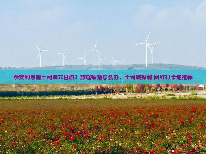 泰安到恩施土司城六日游