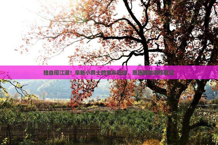 阜新到恩施腾龙洞个人游