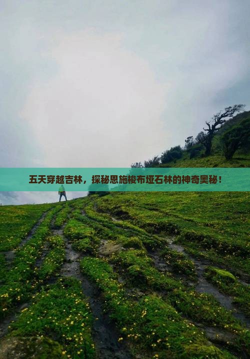 吉林去恩施梭布垭石林五日游