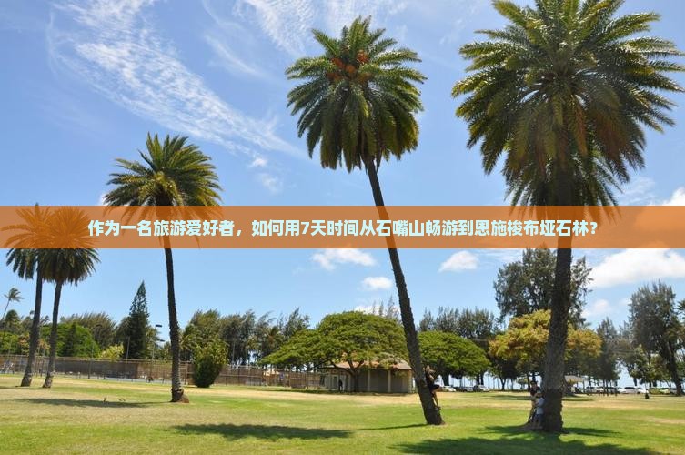 石嘴山到恩施梭布垭石林七日游