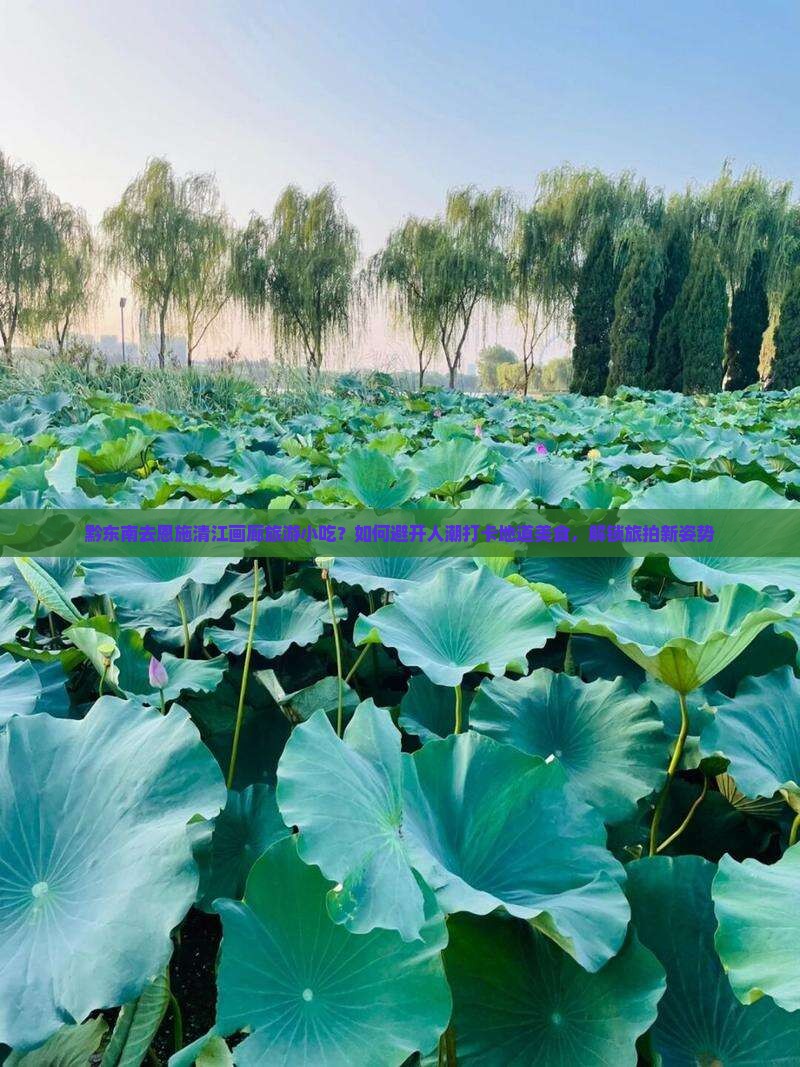 黔东南去恩施清江画廊旅游小吃