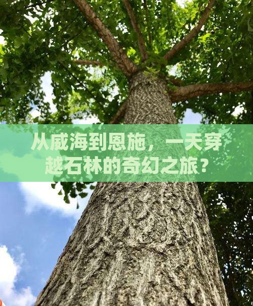 威海到恩施梭布垭石林一日