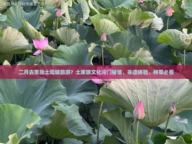 二月去恩施土司城旅游