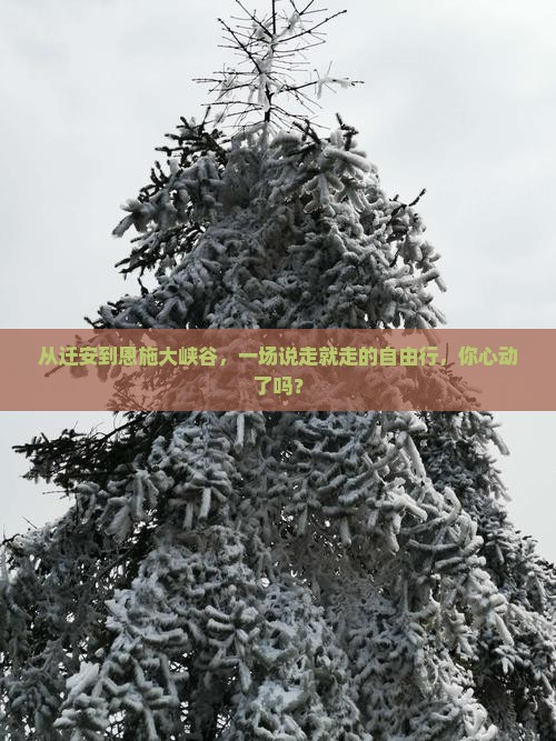 迁安去恩施大峡谷自由团