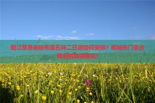 阳江到恩施梭布垭石林二日游