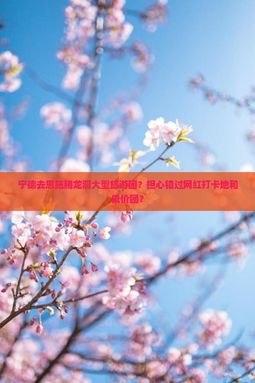 宁德去恩施腾龙洞大型旅游团
